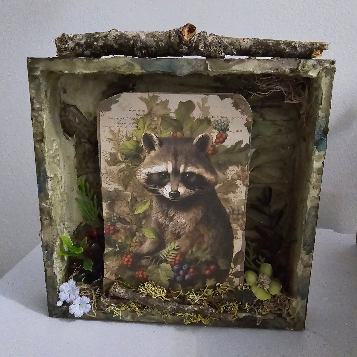 "I See You, You See Me" Racoon Shadow Box