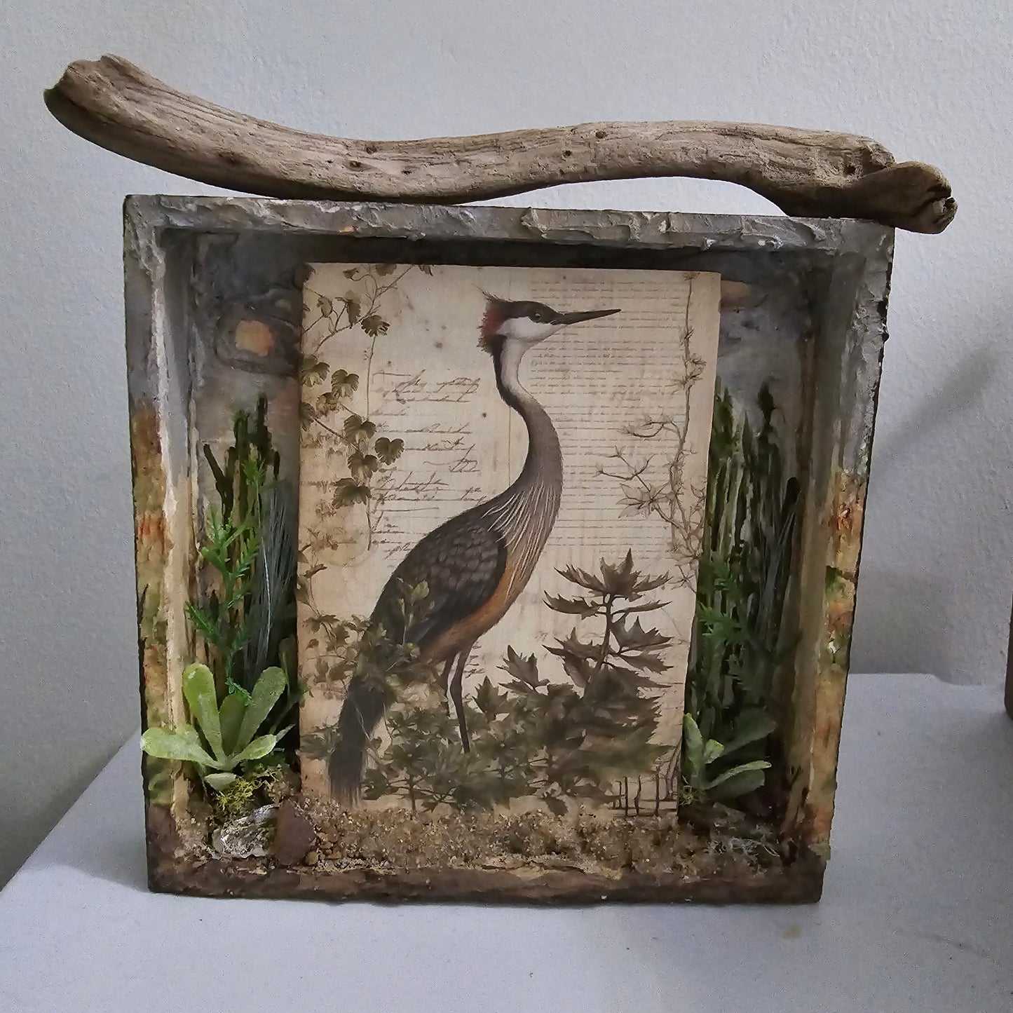 Sandhill Crane Shadow Box
