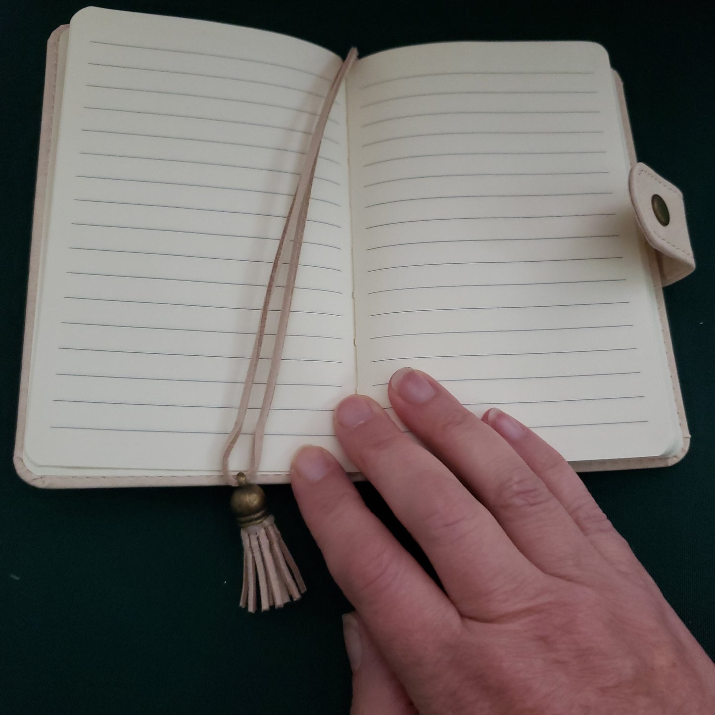 Journal Buddy Gnomes