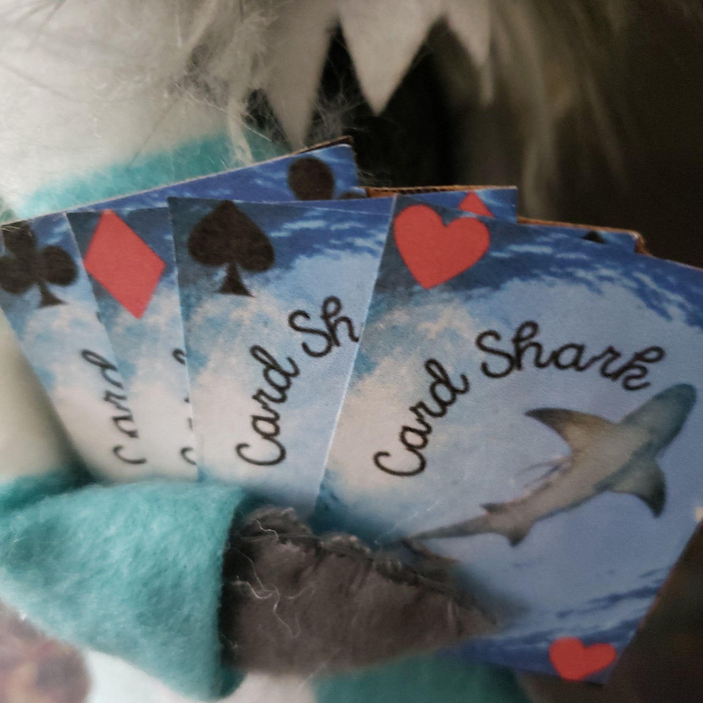 Card Shark Gnome