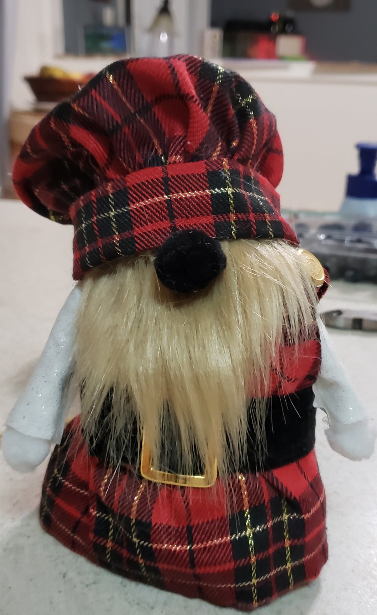 The Scottish Gnome