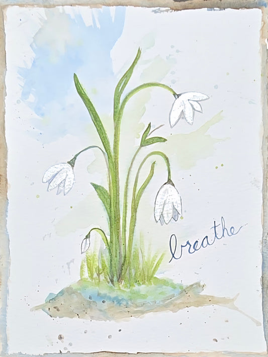 "The Snowdrop"